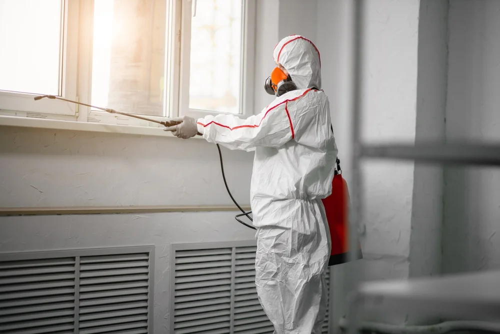 Professional mold remediation services in Thonotosassa, FL